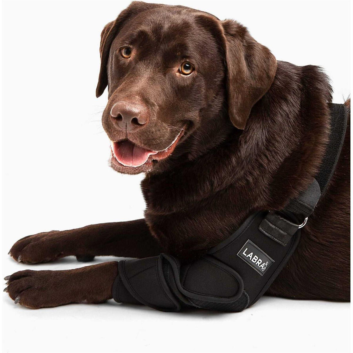 Dog Shoulder Elbow Brace Leg Wrap Y428