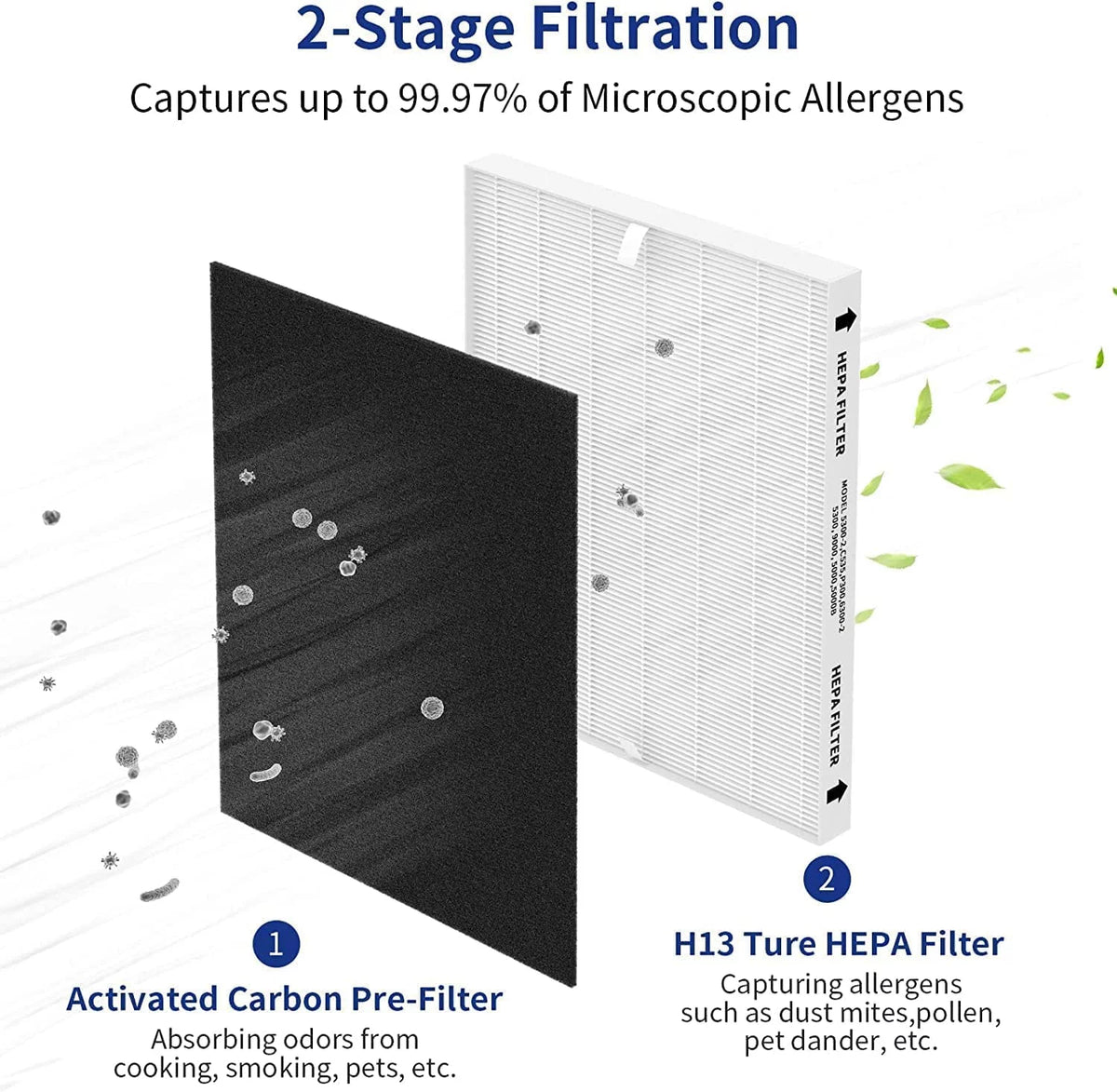2 Pack Replacement True HEPA Size 21 Filters Plus 8 Carbon Pre-Filters R252246