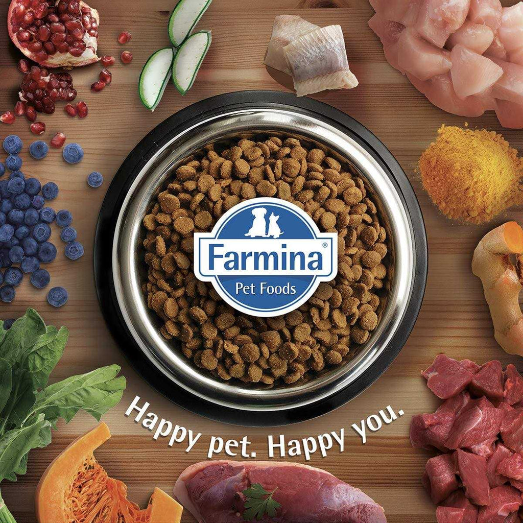 Chicken & Pomegranate Cat Dry Food V824