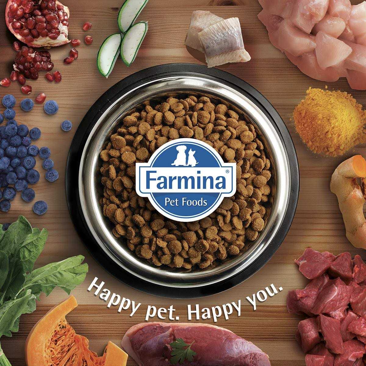Chicken & Pomegranate Cat Dry Food V824