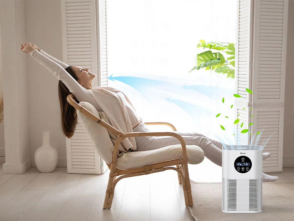 Air Purifier with H13 True HEPA Filter S889