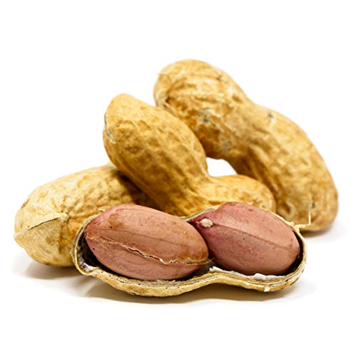 Raw Peanuts in Shell, 2.5 lb Y749731