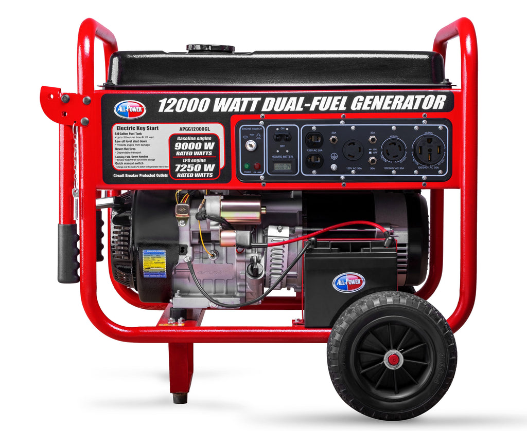12000 Watt Dual Fuel Portable Generator with Electric Start T8282