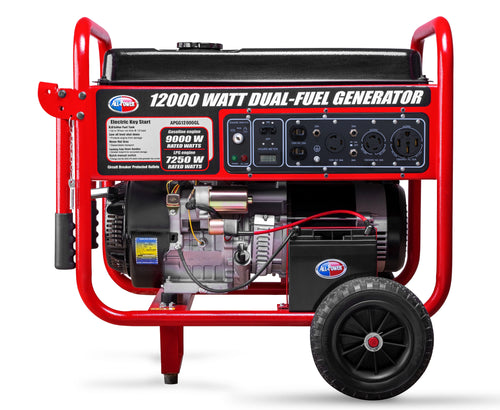 12000 Watt Dual Fuel Portable Generator with Electric Start T8282