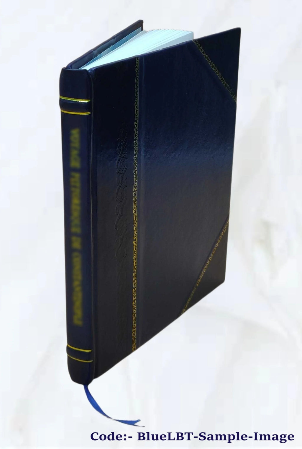 Leather Bound Memoir B482