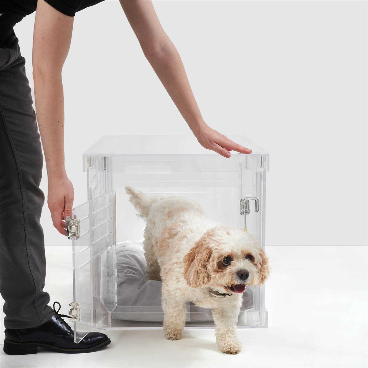 Clear Dog Crate to Gate Y75444