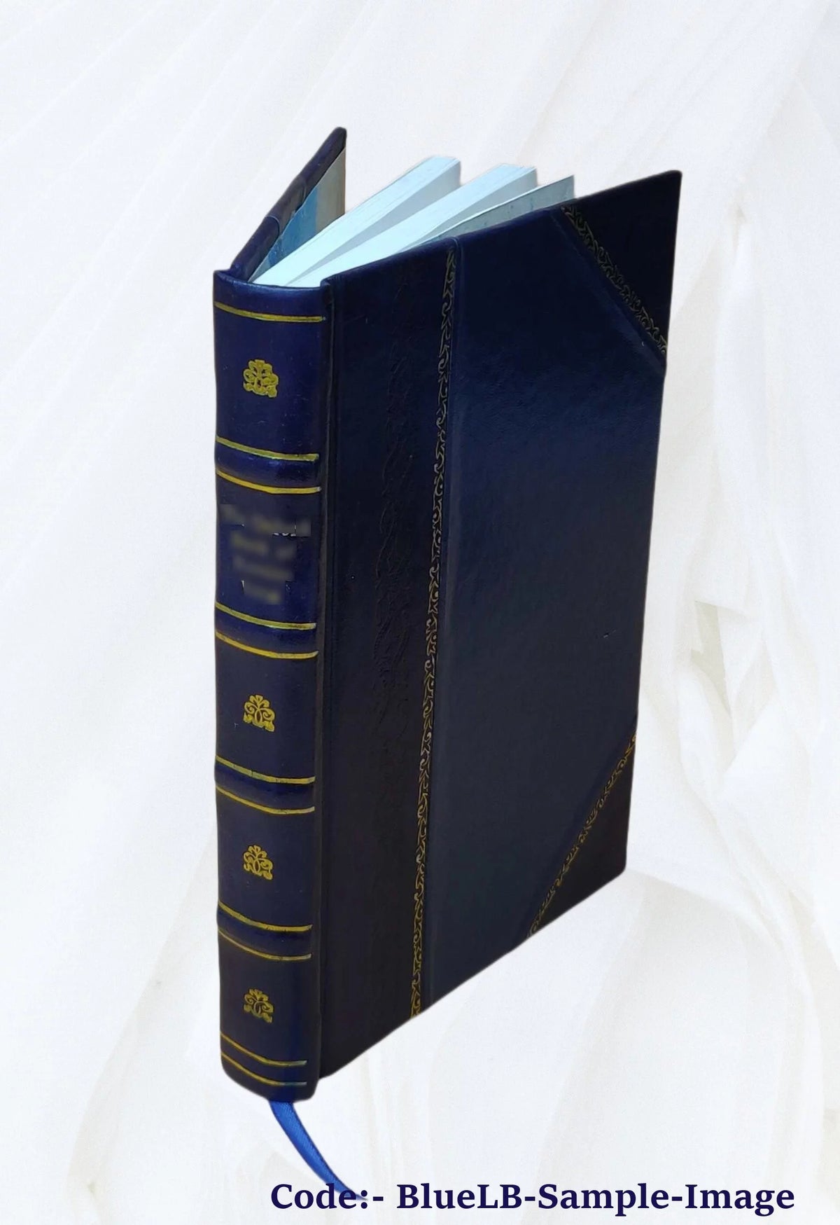 Leather Bound Book X64665