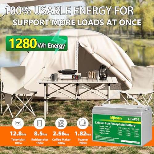 12V 100Ah LiFePO4 Battery with 100A BMS K480357