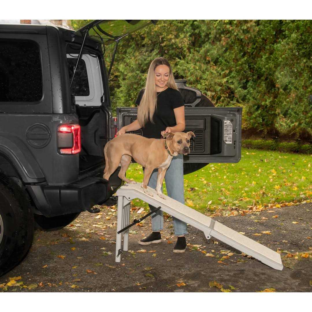 Free-Standing Pet Ramp S677711