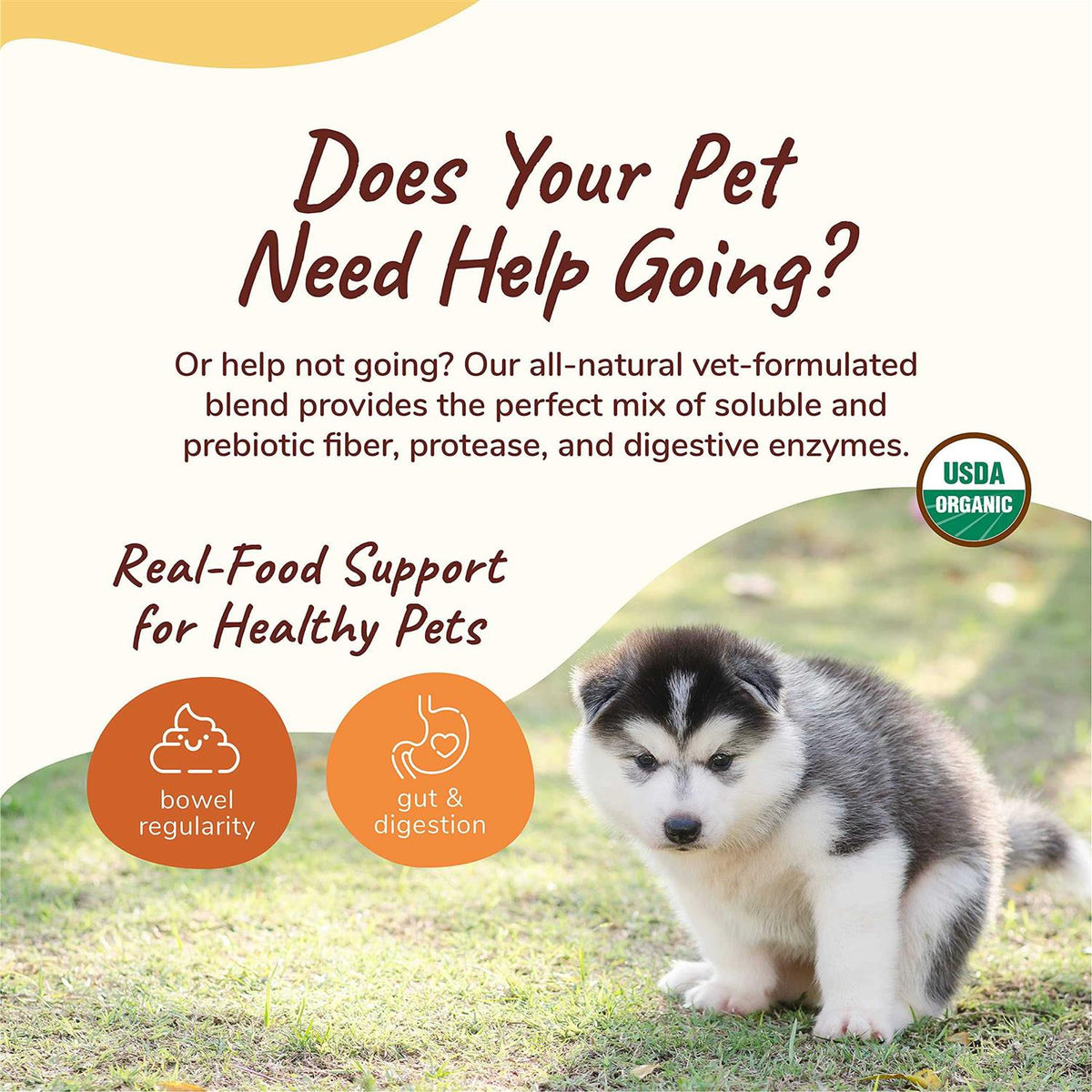 Organic Dog & Cat Supplement A338433