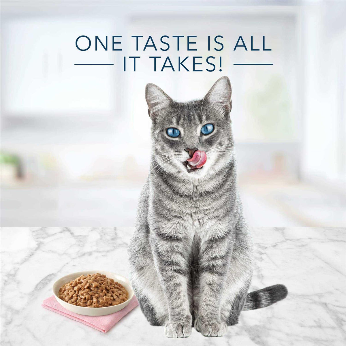 Blue Buffalo Tastefuls Cat Food Entree G285591