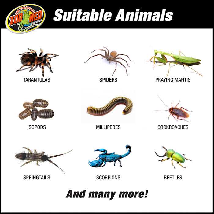 Creatures Habitat Kit Q1353