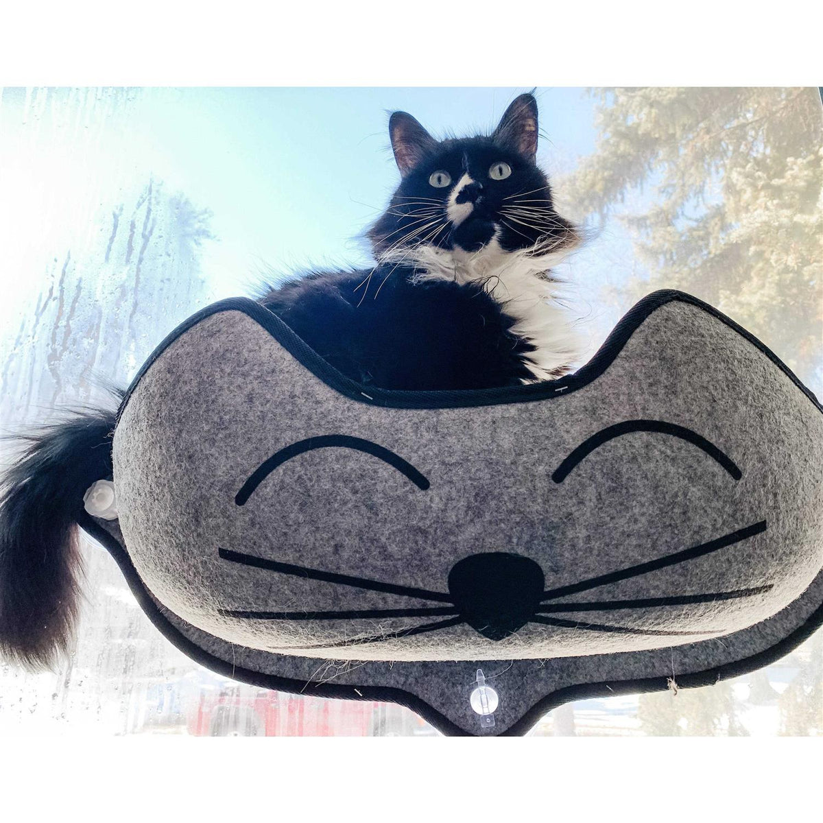 Window Pet Bed W532