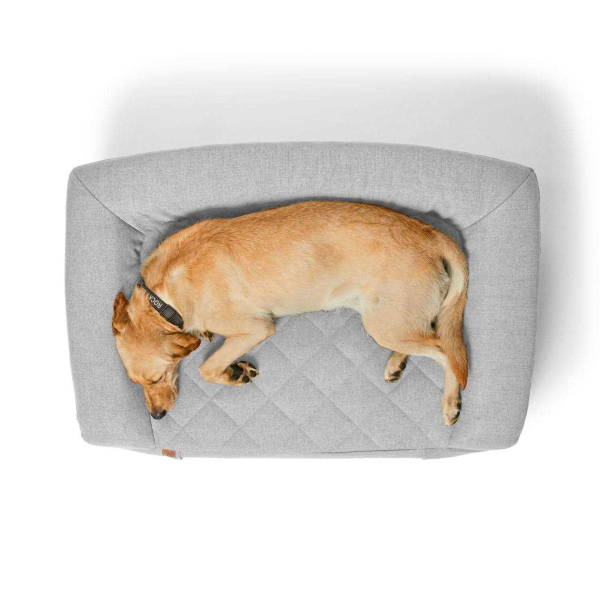 Couch S509