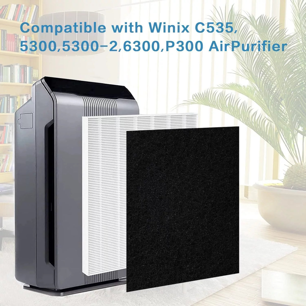 2 Pack Replacement True HEPA Size 21 Filters Plus 8 Carbon Pre-Filters R252246