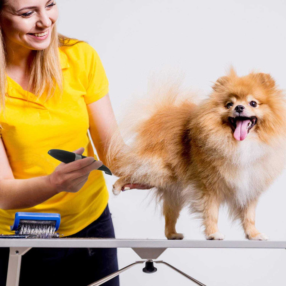 Cordless Low Noise Electric Pet Trimmer W53837