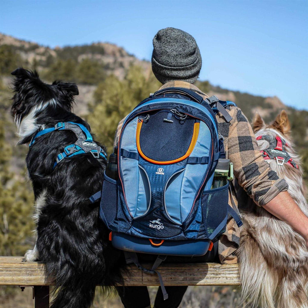 Dog Harness T274