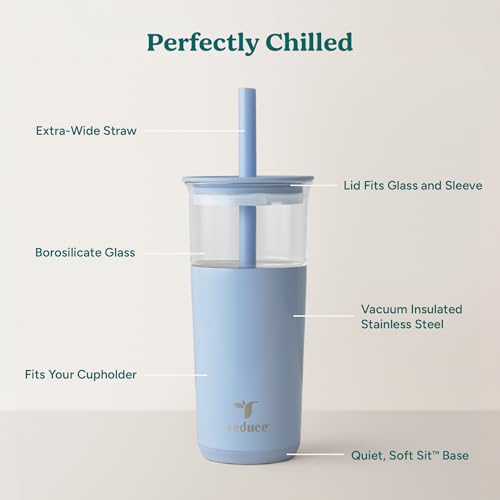 20 oz Vacuum Insulated Glass Tumbler with Lid & Straw G1558