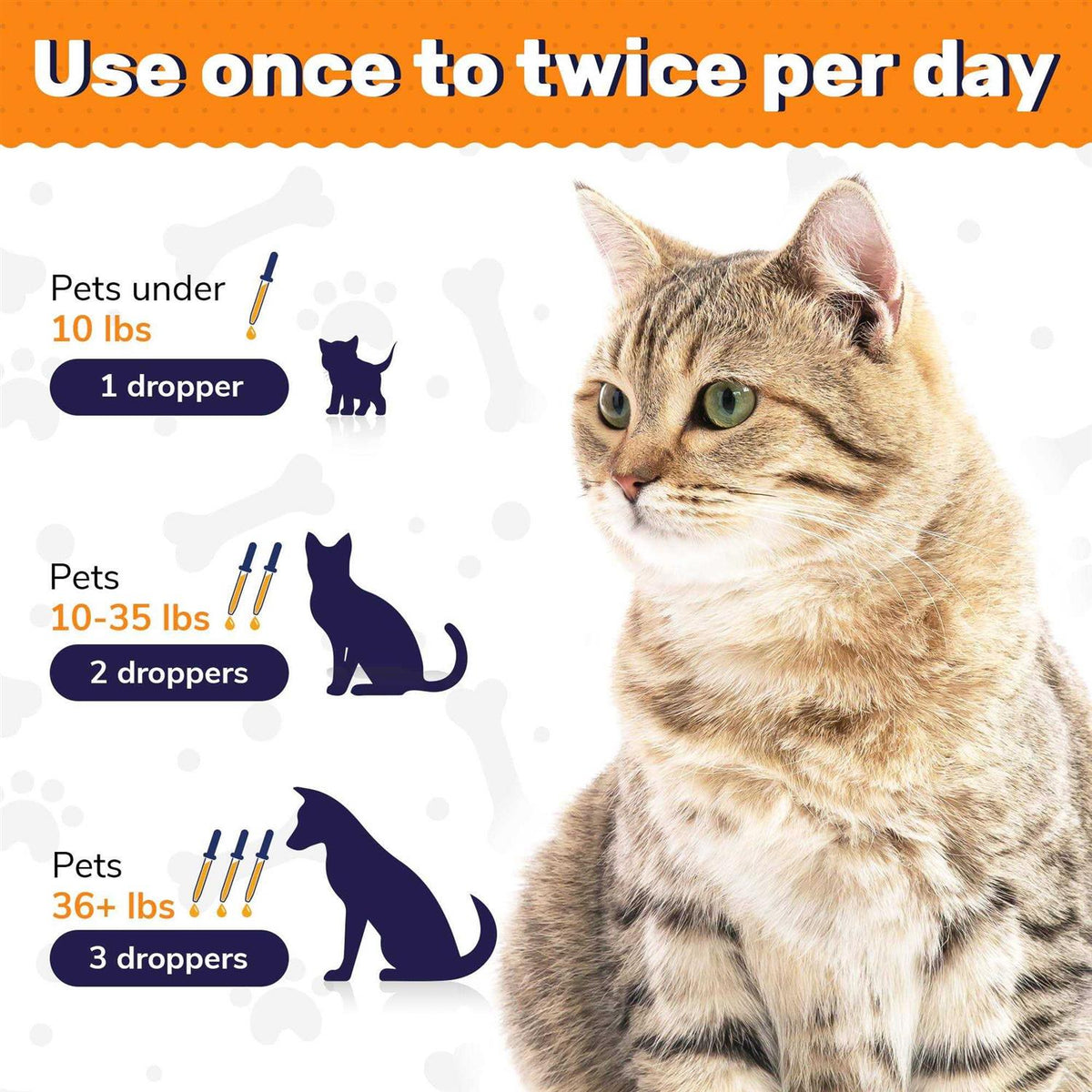 Probiotics for Dogs and Cats V481