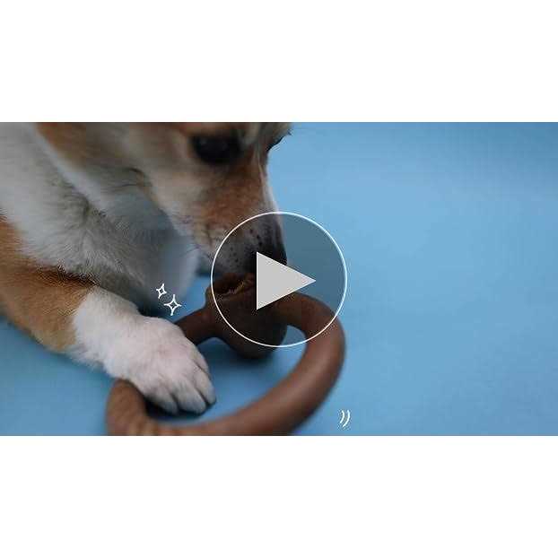 Durable Chew Toy for Aggressive Chewers V246891