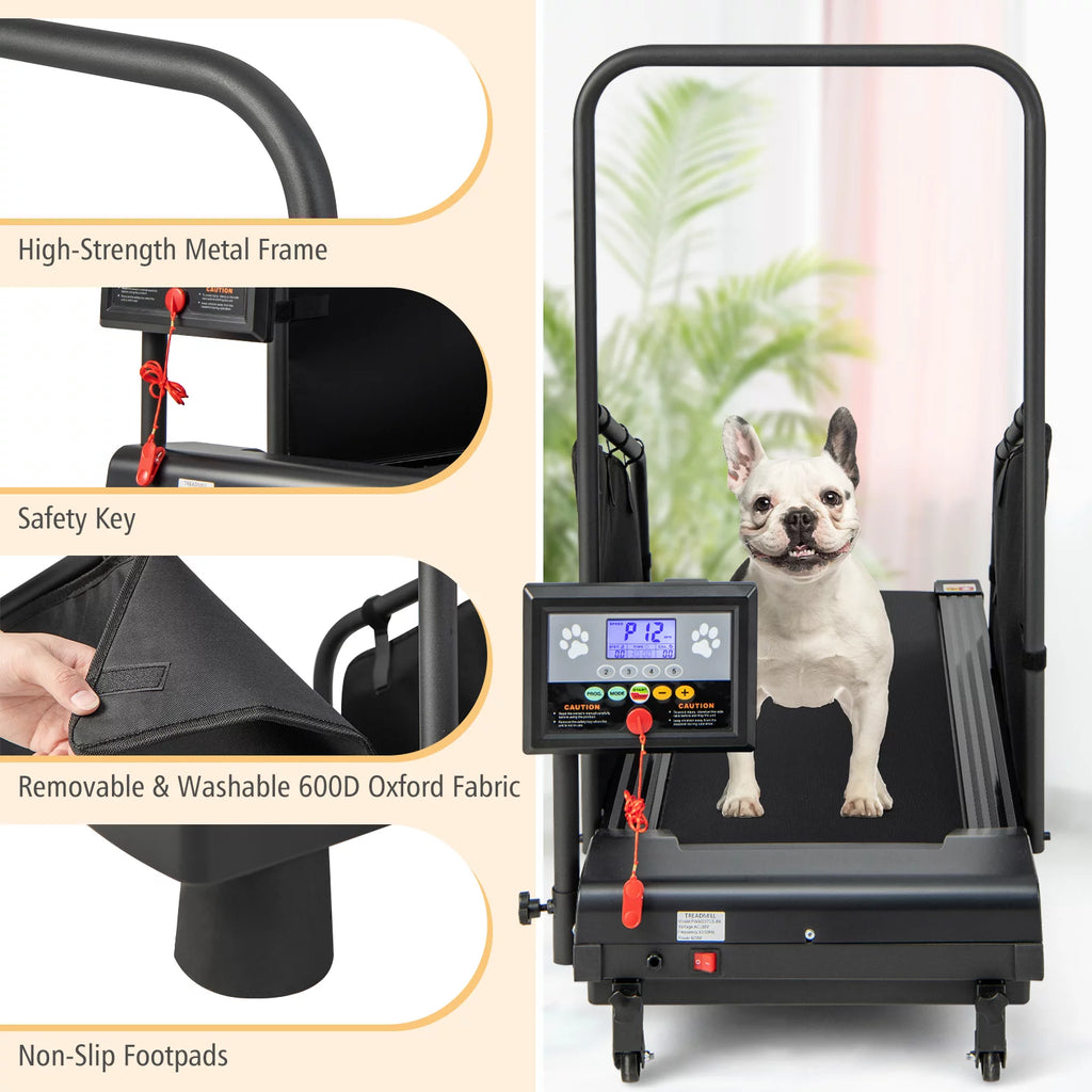 Dog Treadmill S820212