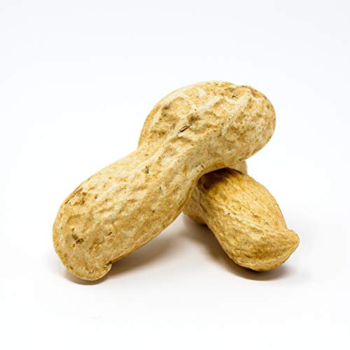 Raw Peanuts in Shell, 2.5 lb Y749731