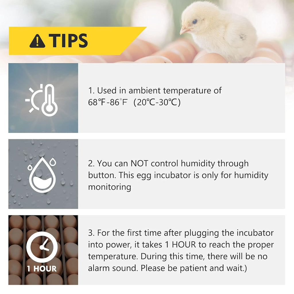 40 Egg Incubator with Automatic Egg Turning and Temperature Control M494