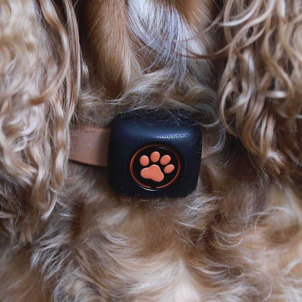 Dog Activity and Fitness Monitor C2445