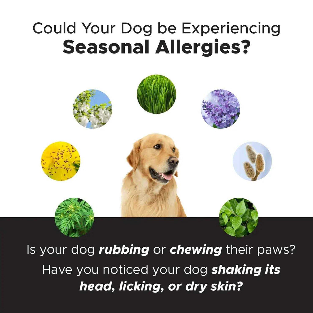 Allergy Support Chews for Dogs W701388