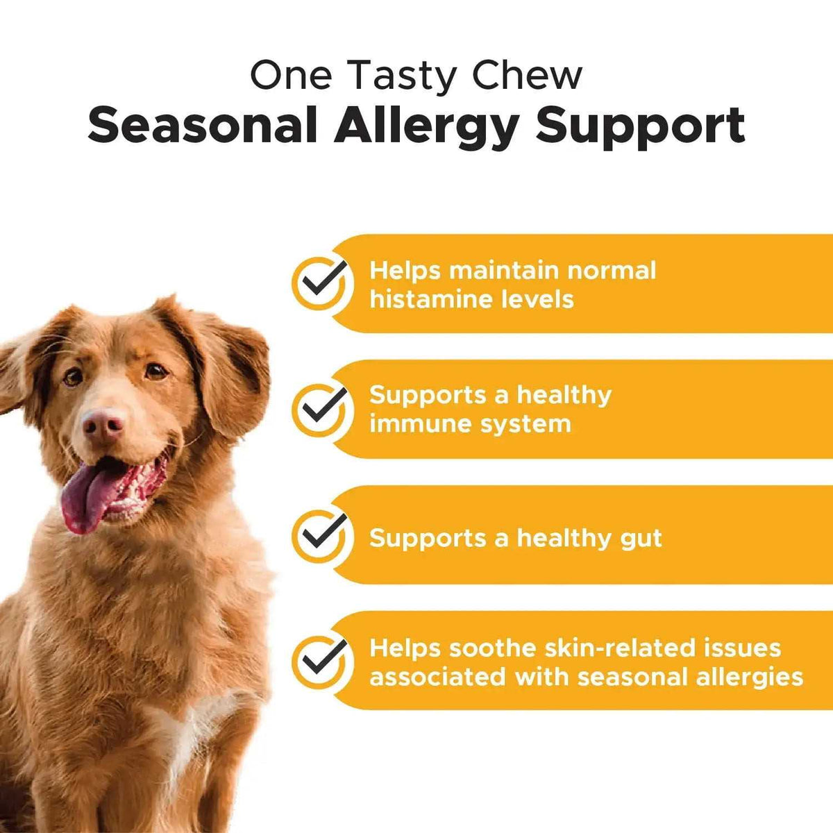 Allergy Support Chews for Dogs W701388