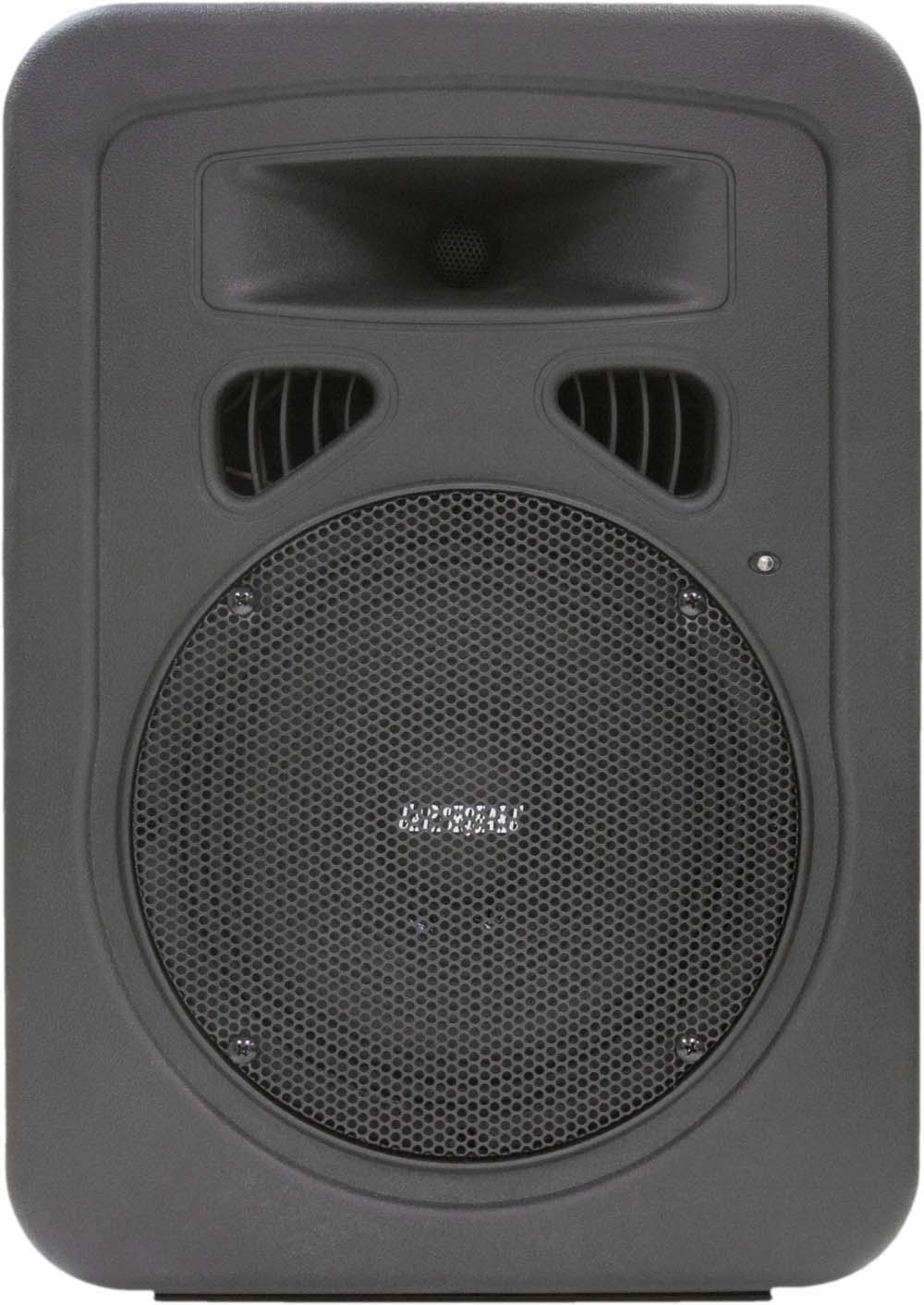 Powered 8-Inch 2-Way Monitor/PA Speaker U480255
