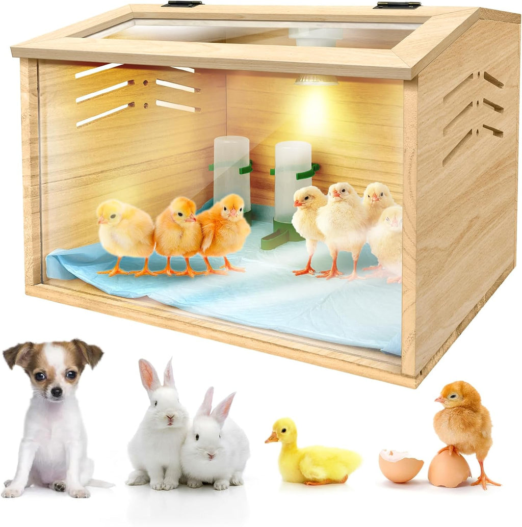 Chick Brooder Box 15.7 X 12 X 12 inches B529216