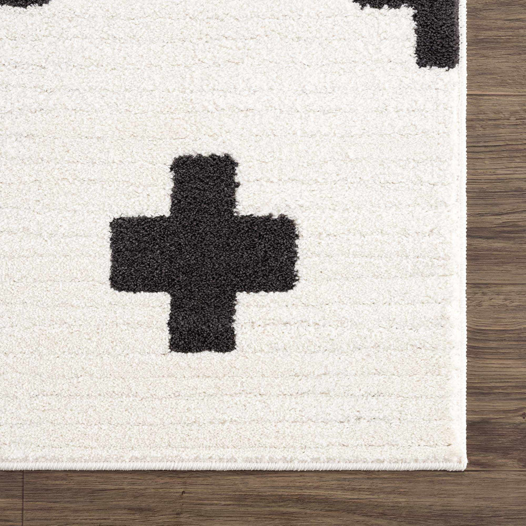 Black Gray Ivory Shag Area Rug 2' x 3' E987