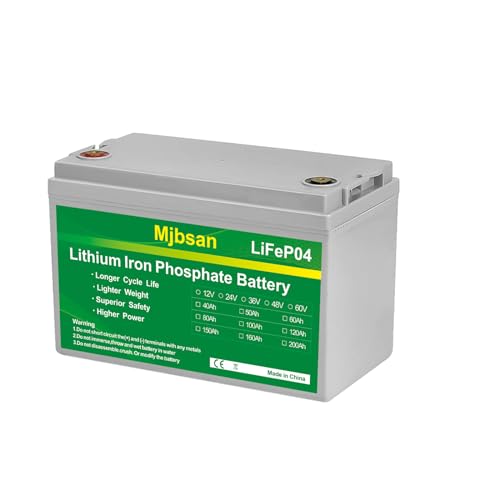 12V 100Ah LiFePO4 Battery with 100A BMS K480357