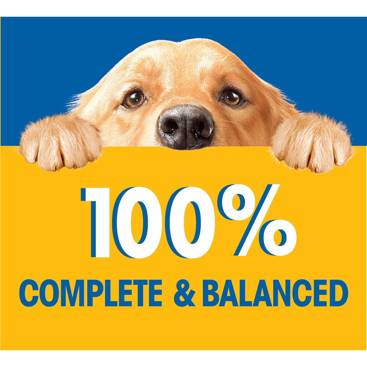 Chicken Wet Dog Food S636