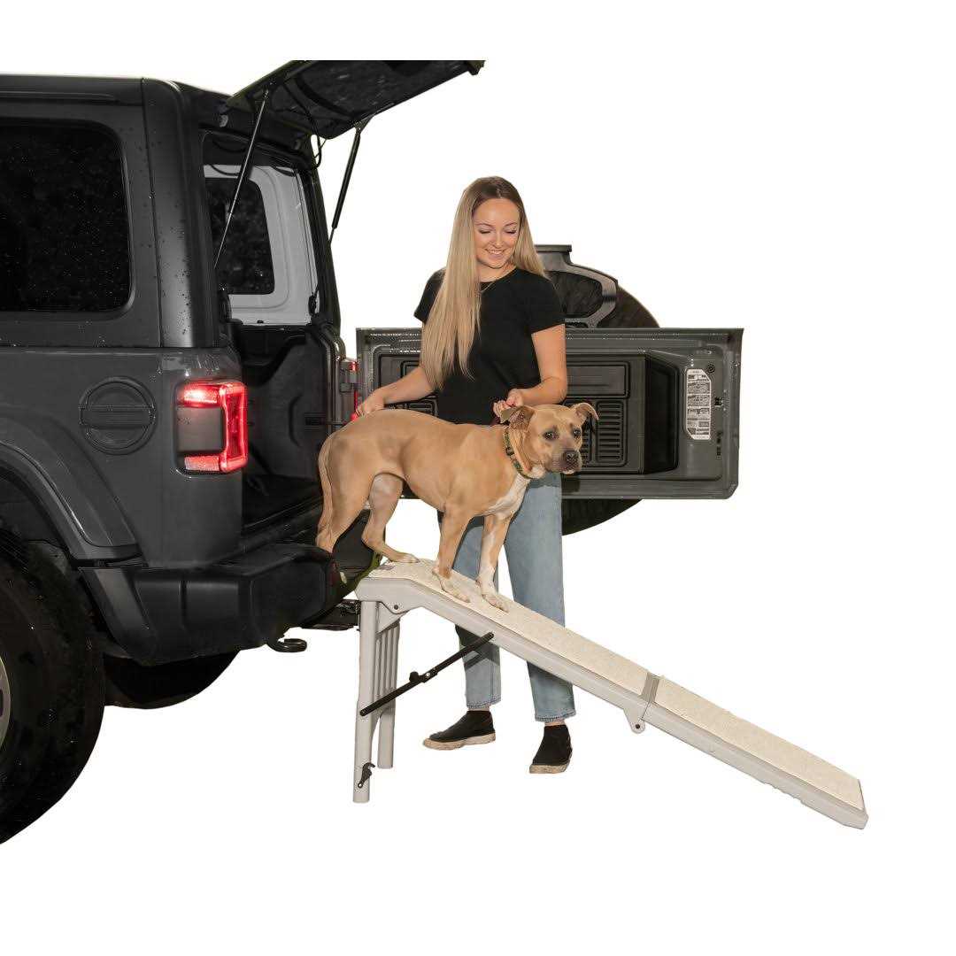Free-Standing Pet Ramp S677711