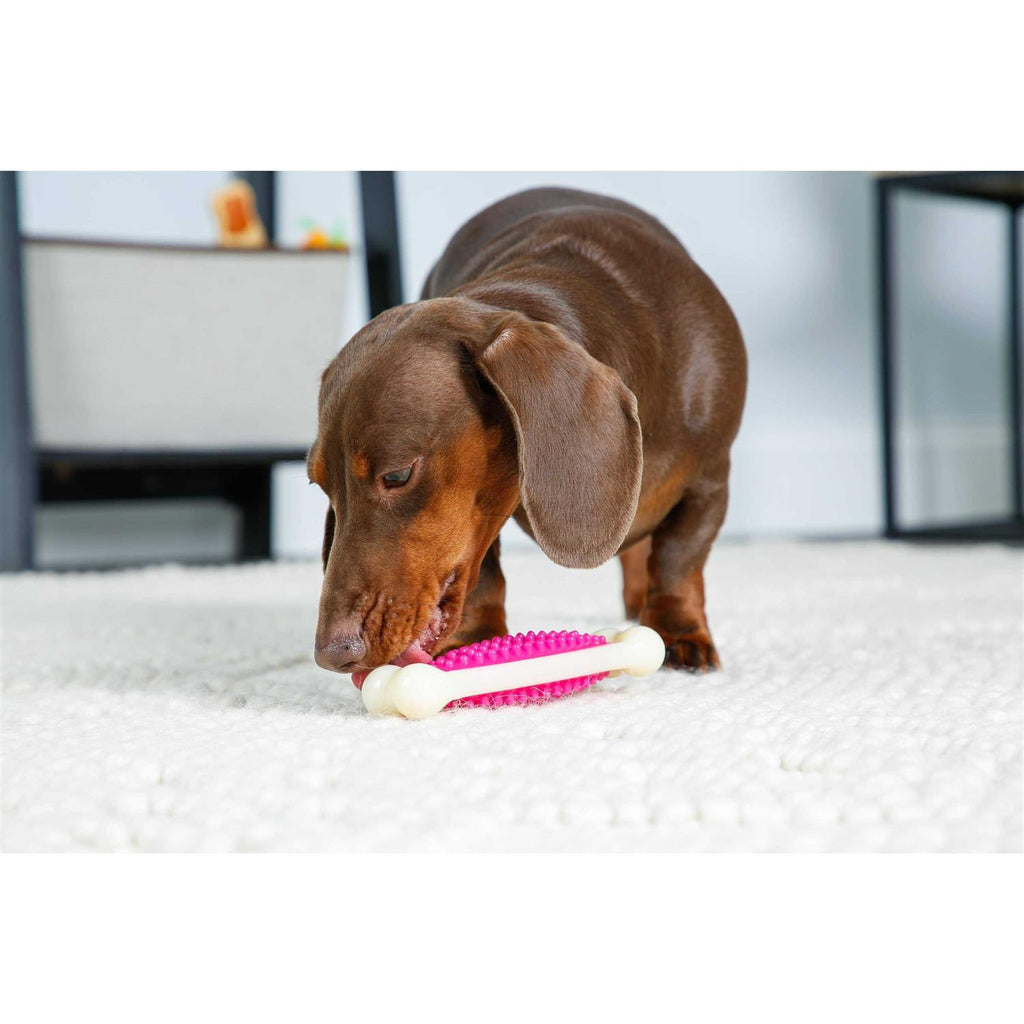 Chew Toy U9616