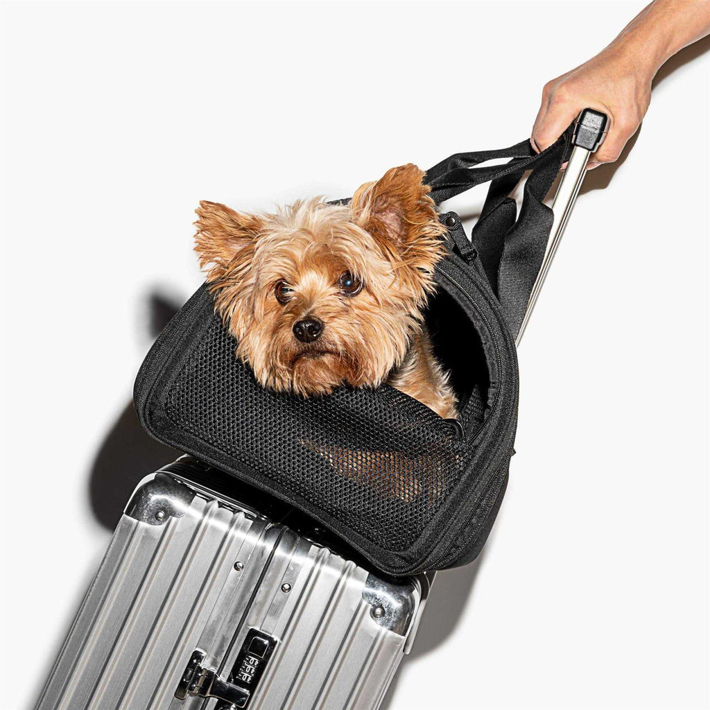 Travel Carrier H93080