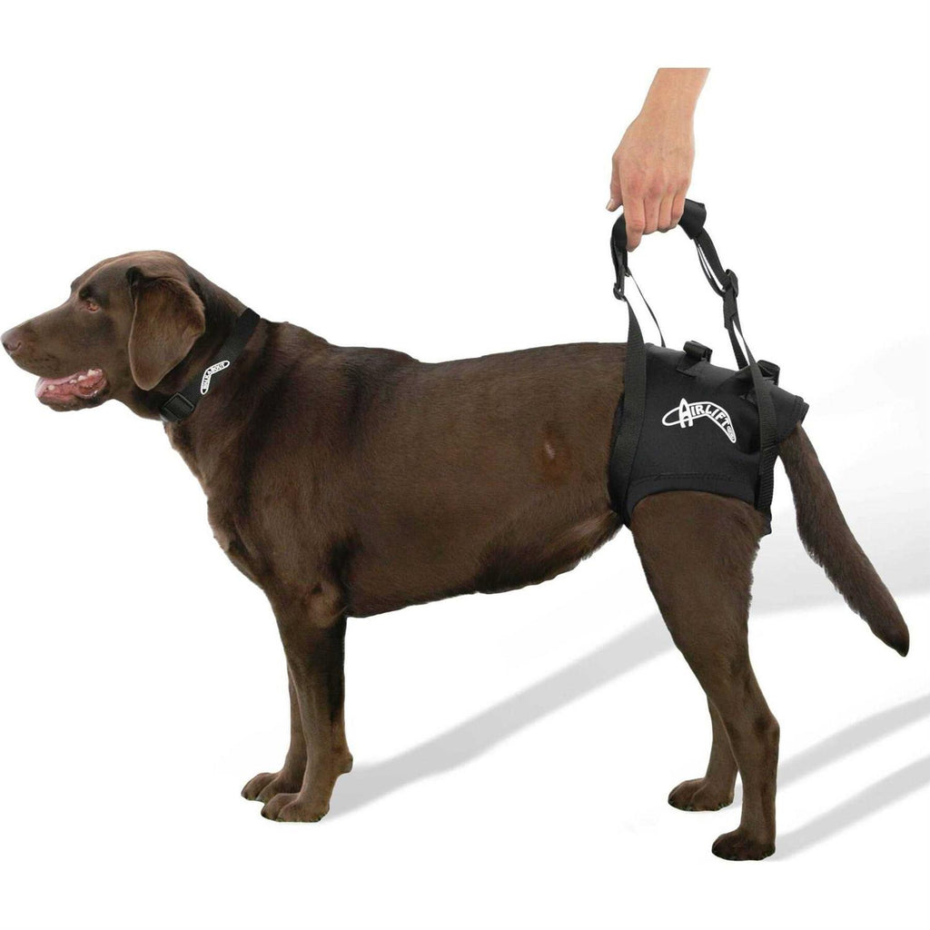 Support Harness V851353