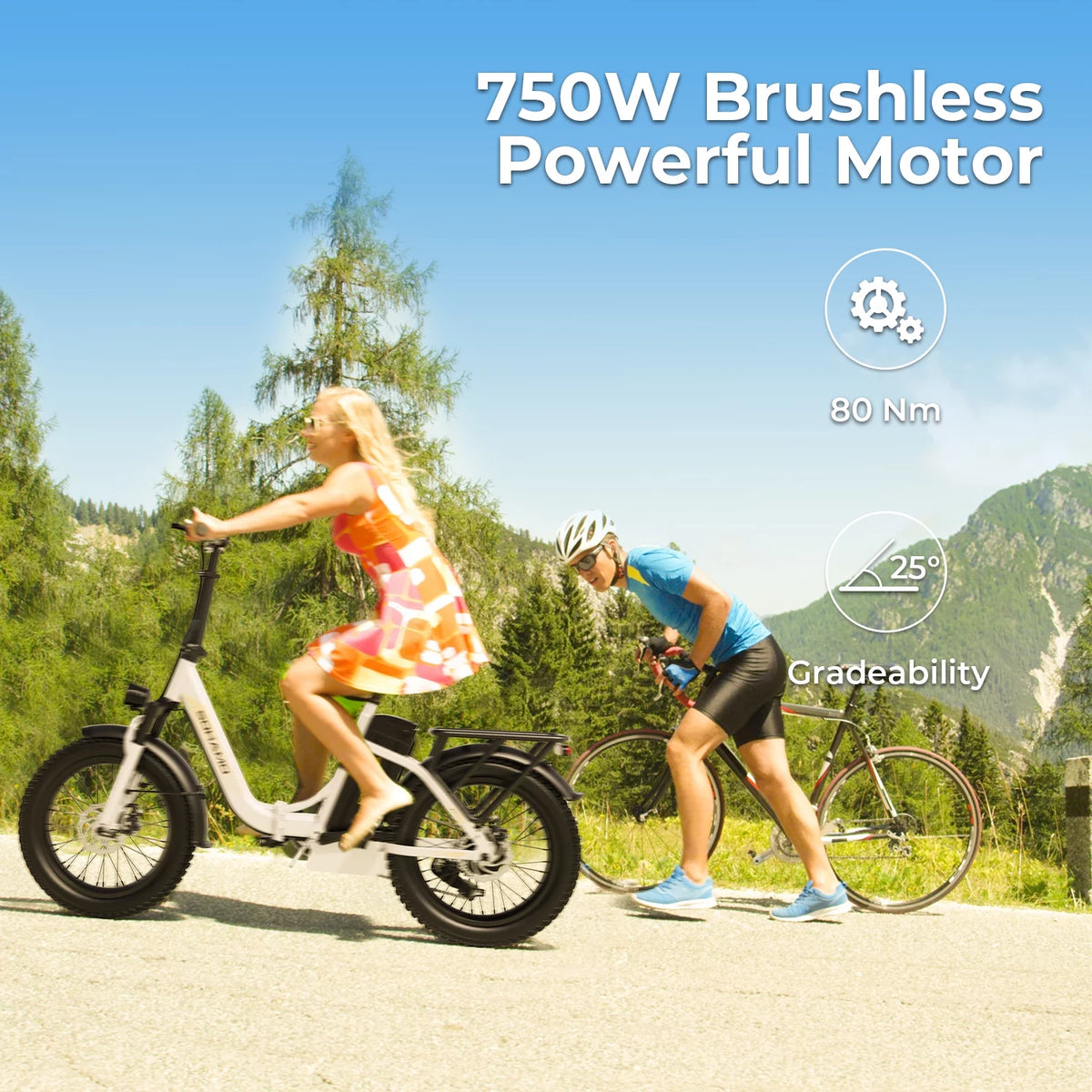 750W Folding Electric Bike 48V 15AH Removable Battery 20 Fat Tire F826688