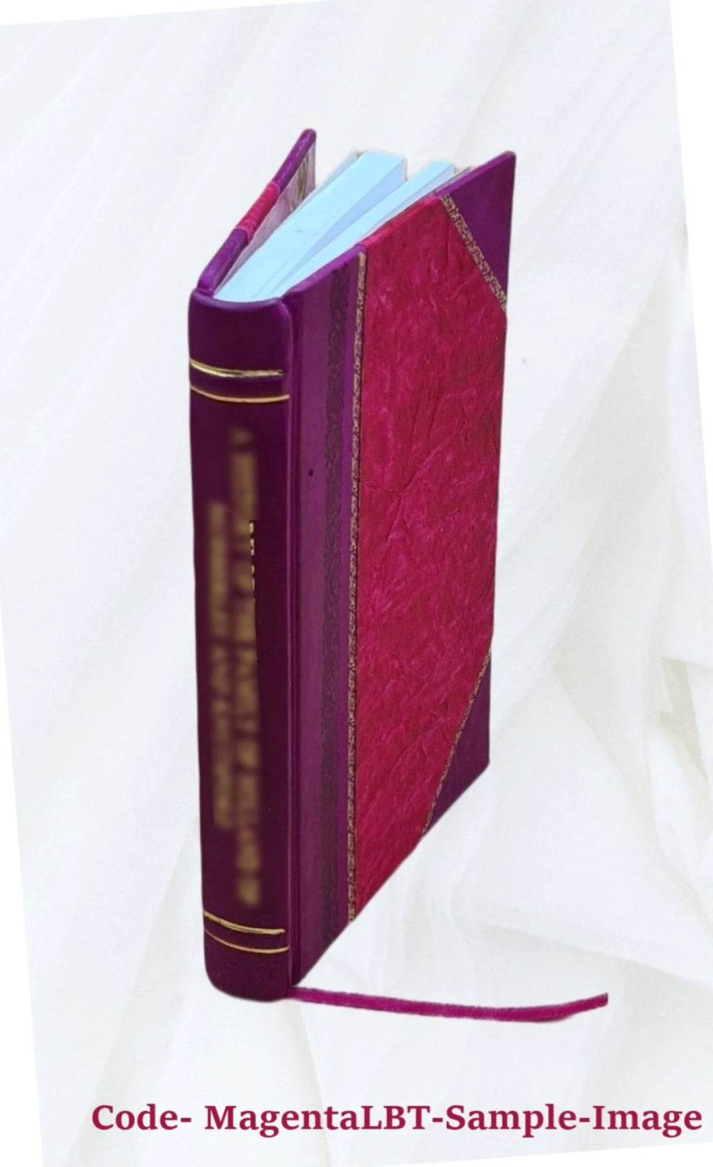 Leather Bound Memoir B482