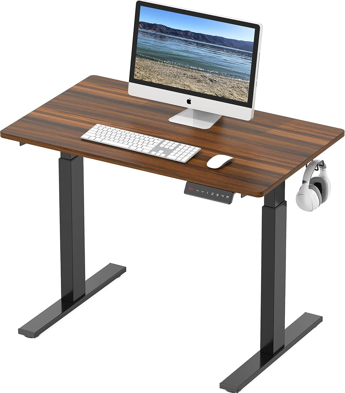 55-Inch Electric Height Adjustable Standing Desk B545
