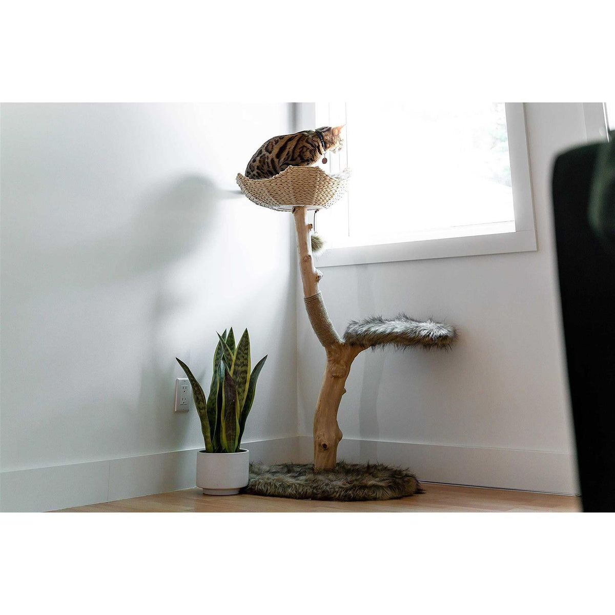 Uni Cat Tree T79865