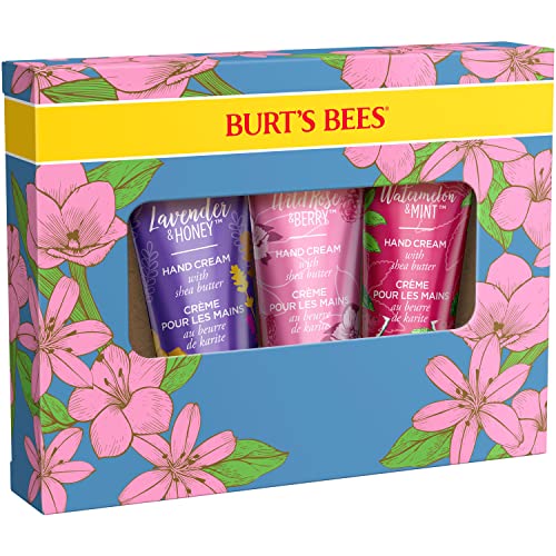 Shea Butter Hand Cream Trio Y360