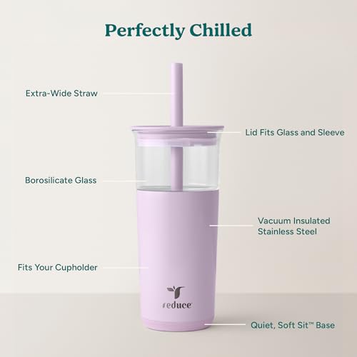 20 oz Vacuum Insulated Glass Tumbler with Lid & Straw G1558