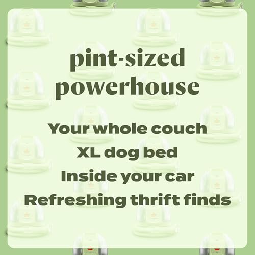 Tea Green Portable Carpet and Upholstery Deep Cleaner T10585