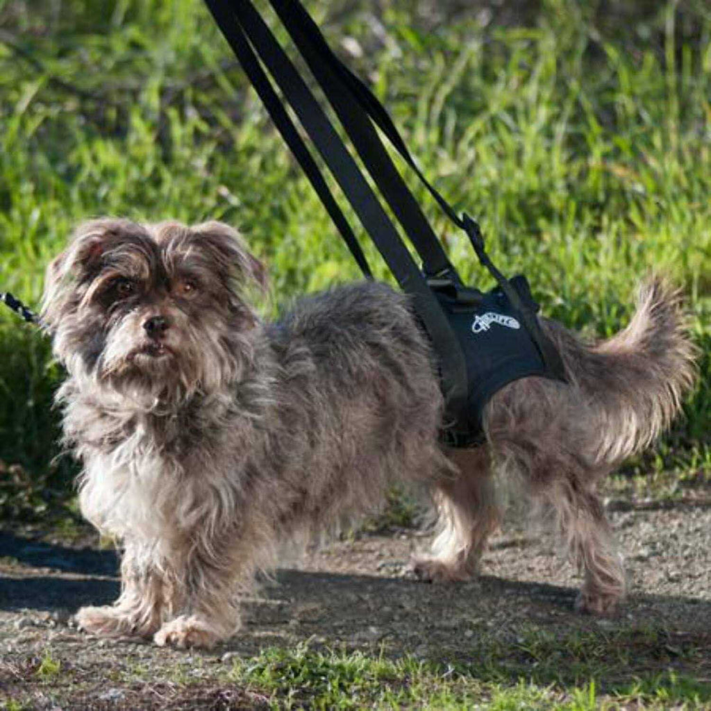 Support Harness V851353