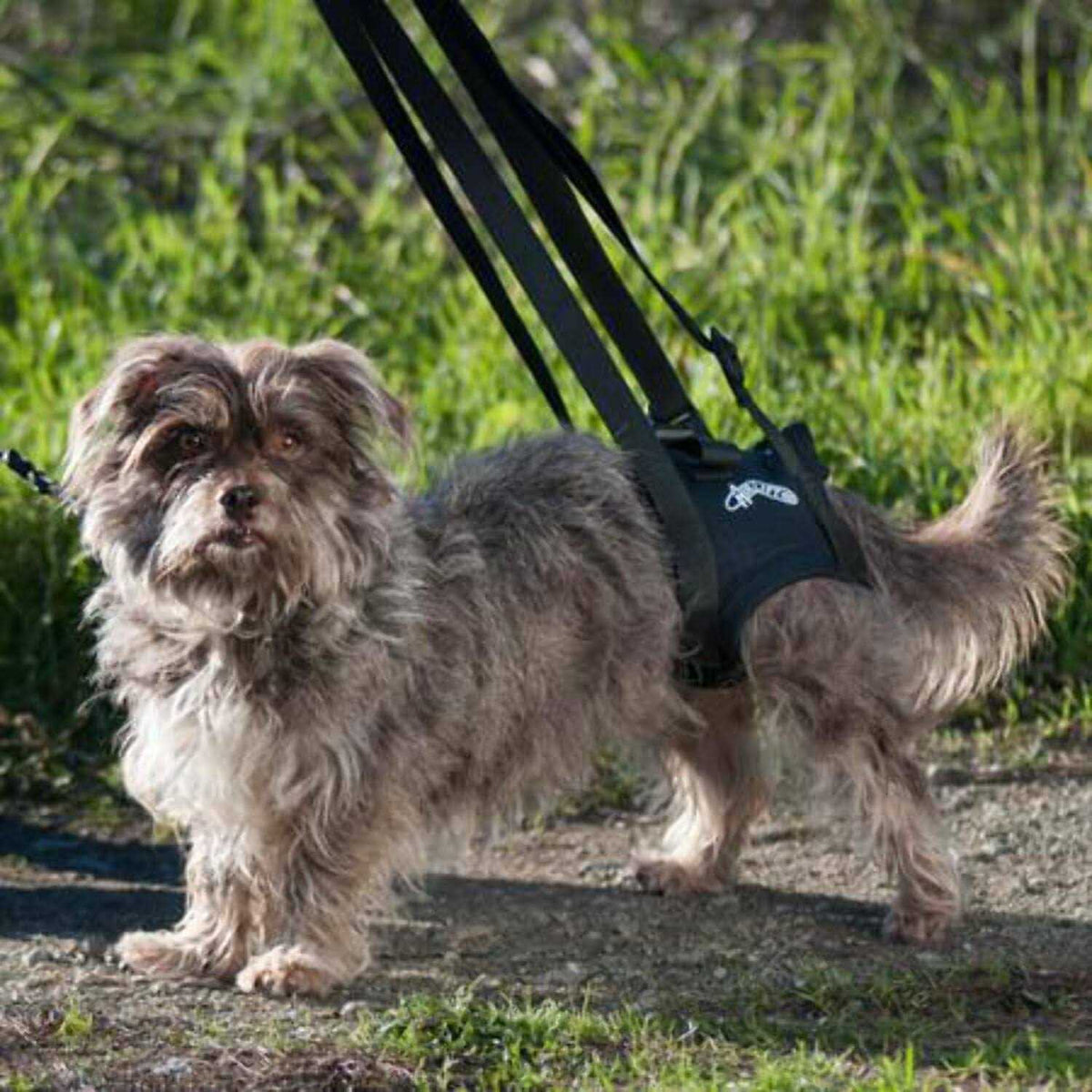 Support Harness V851353