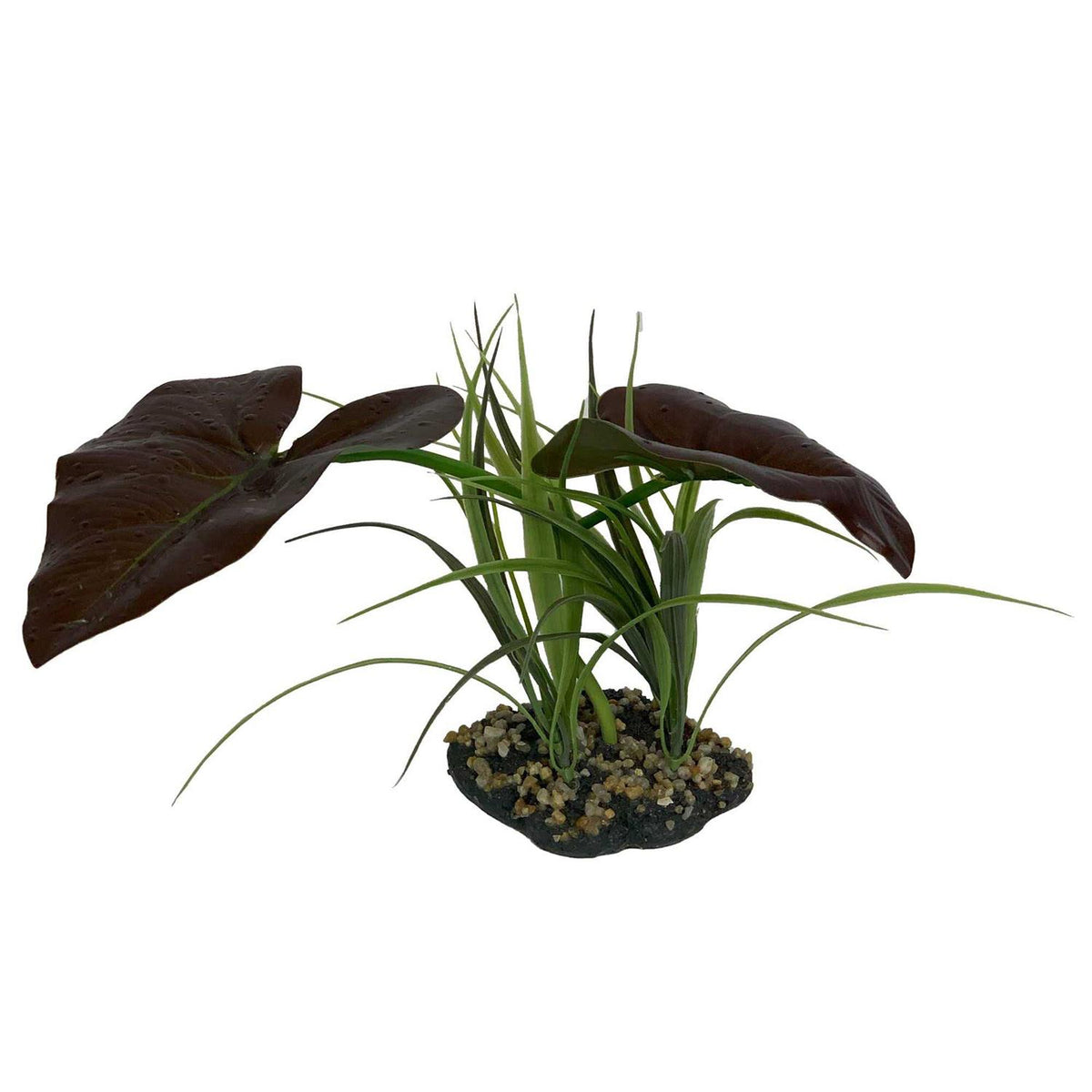Canopy Plant K412