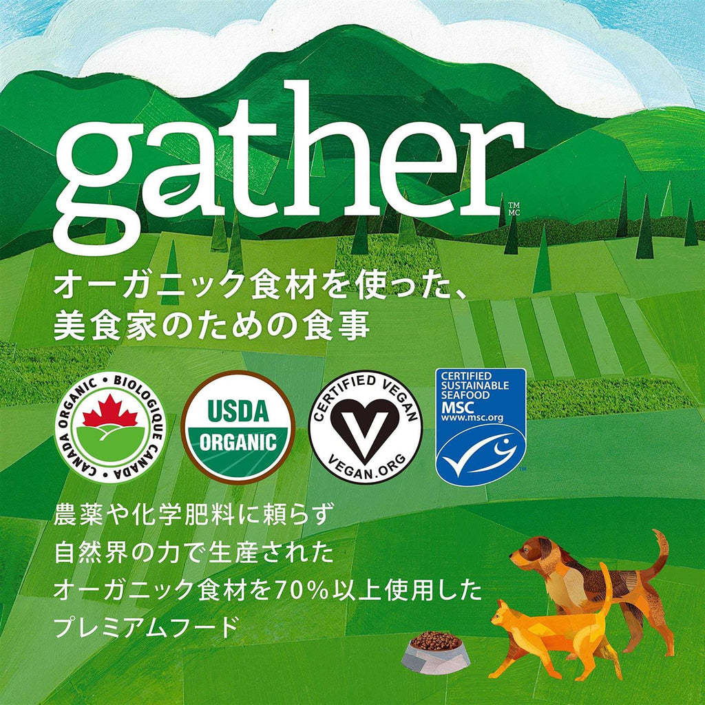 Organic Free-Run Chicken Dry Cat Food N768